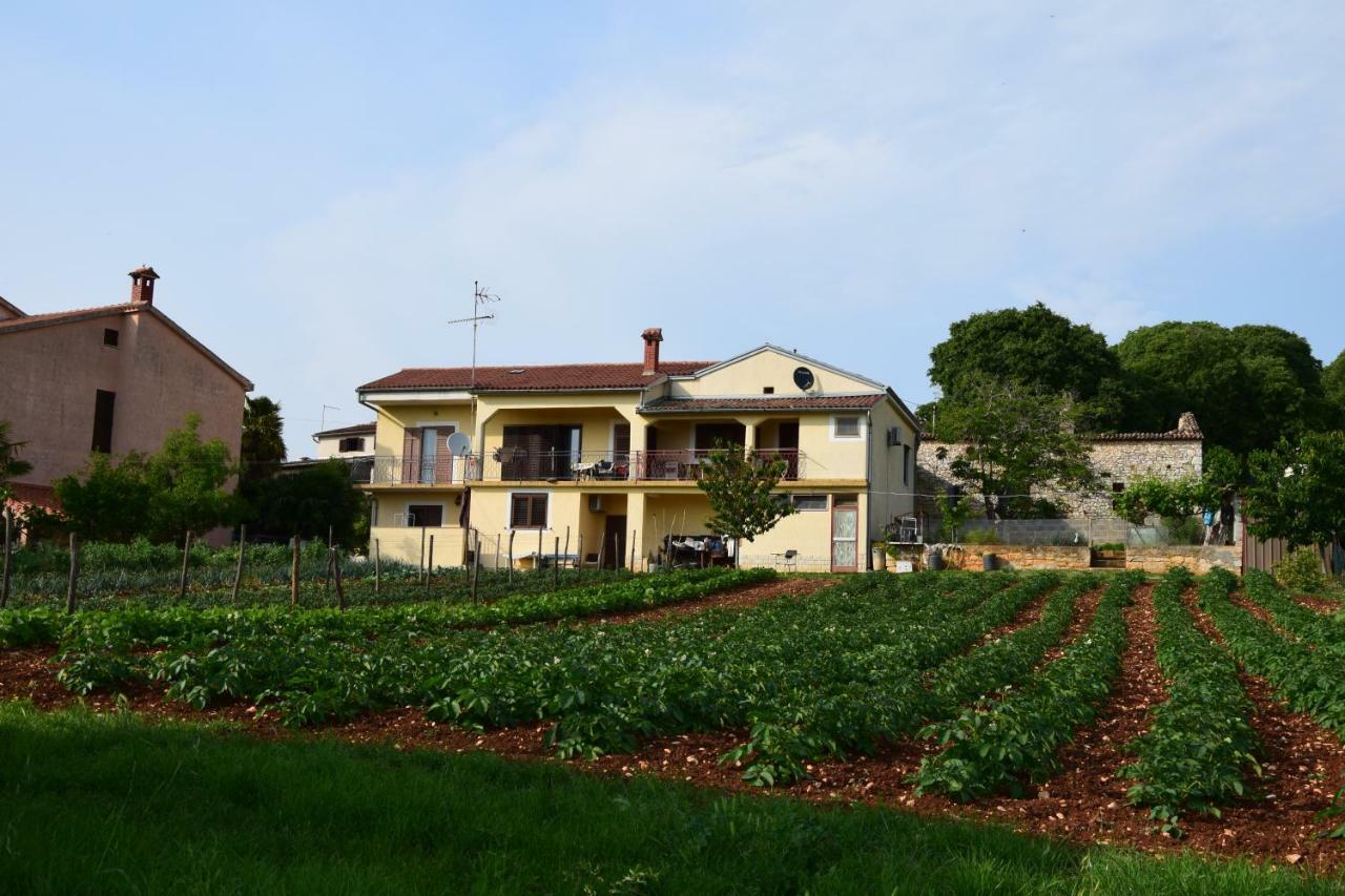 Apartments Uzila Family Mugeba Esterno foto
